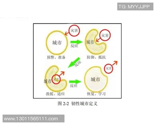 圣何塞地震对比纽约城的城市韧性与应急管理策略分析