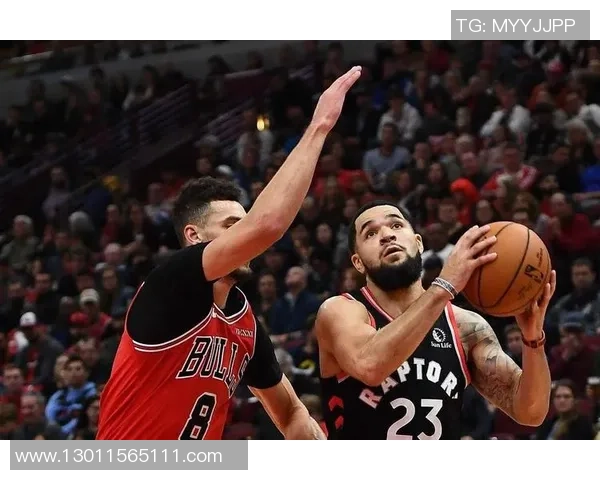 多伦多与芝加哥精彩对决直播全程回顾与分析