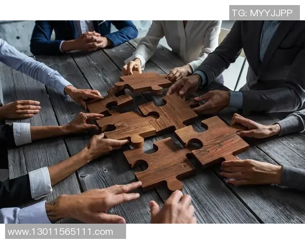 数据分析揭示WE团队协作表现的优势与改进空间