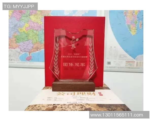 北京羽毛球队整体压制战术解析与实战应用探讨MBA