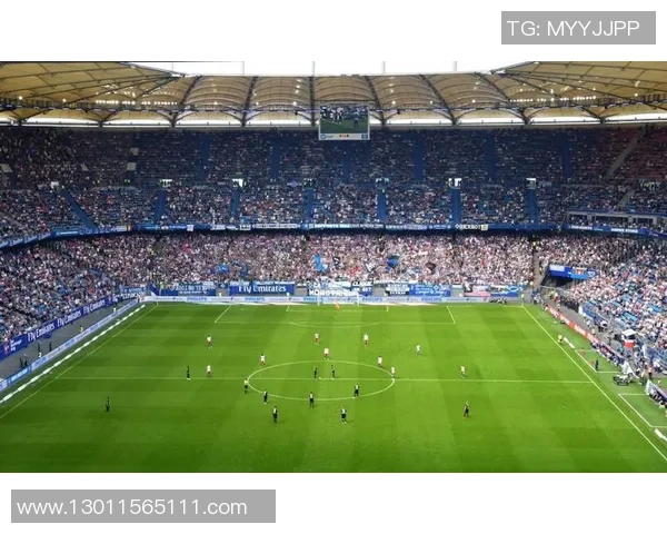 里尔与兰斯比赛因故延期进行球迷期待新赛程安排 里尔与兰斯比赛因故延期进行球迷期待新赛程安排