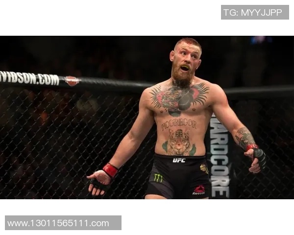 UFC嘴炮与小鹰赛前对决分析谁将成为最终胜者