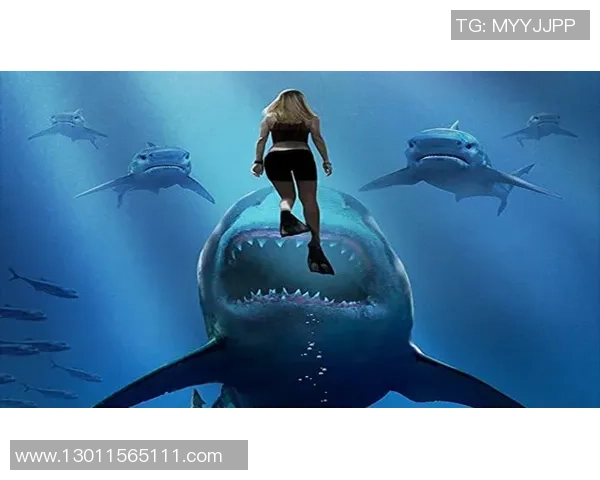 发电机与南部鲨鱼的较量谁能在力量与智慧中胜出