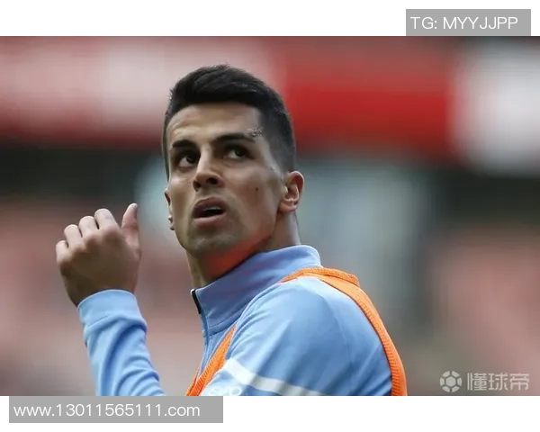 坎塞洛在足球场上的辉煌历程与未来发展潜力分析