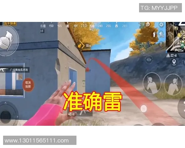 科学和平精英心理素质提升的有效训练方法与策略探讨MBA 科学和平精英心理素质提升的有效训练方法与策略探讨MBA