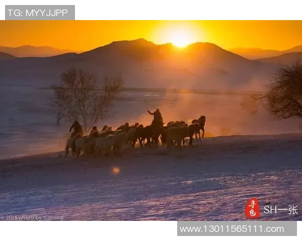 飞马与太阳的实力对比谁更强大探讨两者的特点与优势