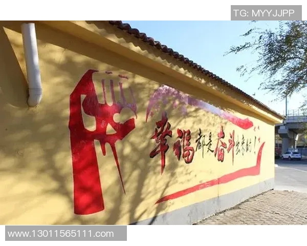 篮球明星台前的光辉岁月与背后的奋斗故事