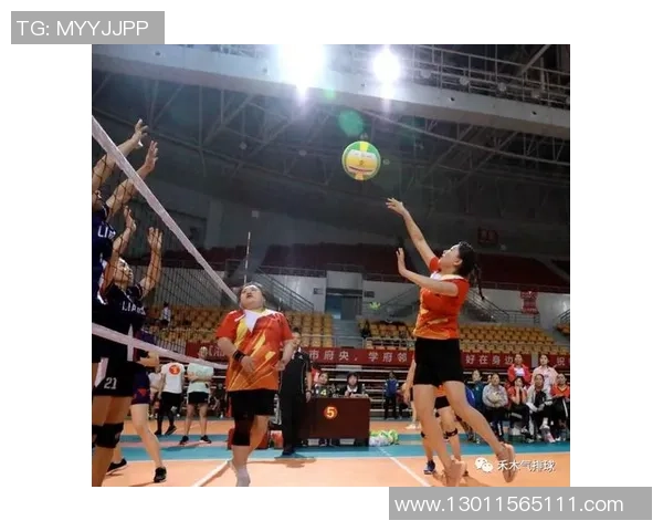 北京排球队战术创新引领潮流最新排球战术TOP10全面解析